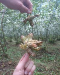 Midsection of person holding flowering plant