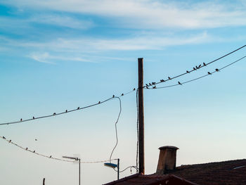 Low angle view of birds perching on cable against sky