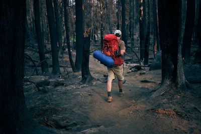 Man backpacking through old wildfire zone