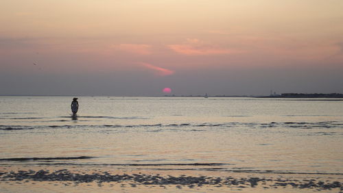 Silhouette person on beach against sky during sunset