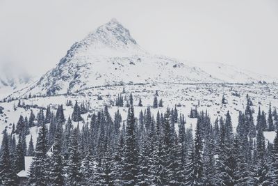 Aerial view of snowcapped mountains against sky