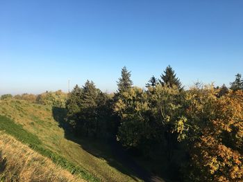 Scenic view of trees against clear blue sky