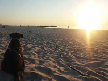 Rear view of man on beach against sky during sunset