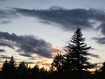 Low angle view of silhouette tree against sky during sunset