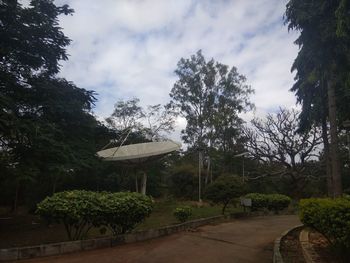 Footpath amidst trees against sky