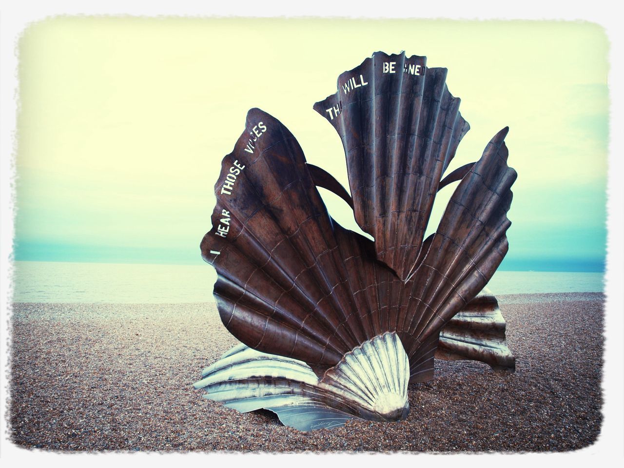 Aldeburgh scallop