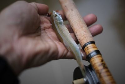Close-up of person fly fishing