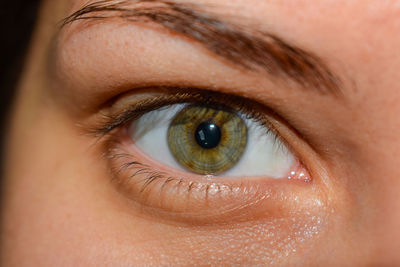 Close-up portrait of woman eye