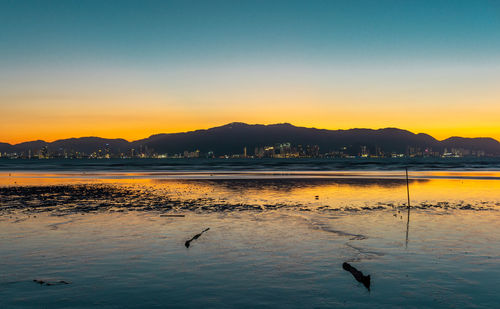 Birds in sea at sunset