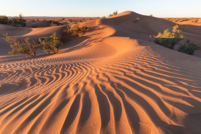 Scenic view of desert against sky