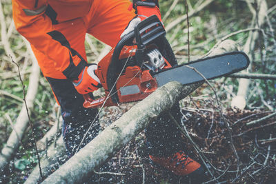 Man holding a chainsaw cut the  trees. lumberjack at work gardener working outdoors  in the forest. 