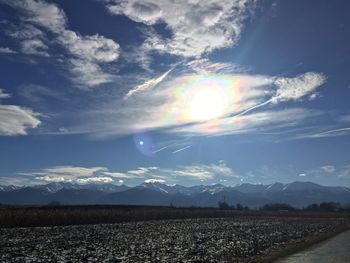 Scenic view of field against sky