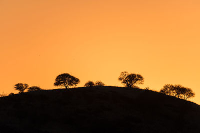 Silhouette trees against orange sky