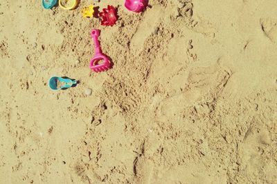 Close-up of footprints on sand