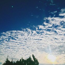 Low angle view of trees against sky