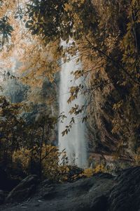 Waterfall in forest during autumn