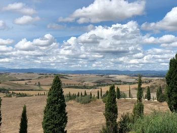 Scenic view of agricultural field against sky