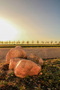 Scenic view of field against clear sky