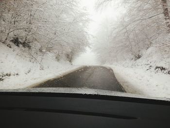 Road passing through forest