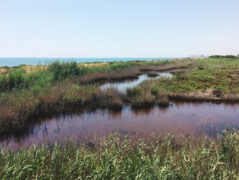 Scenic view of lake against clear sky