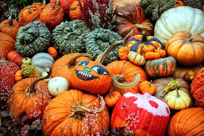 Full frame shot of pumpkins in autumn