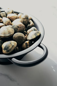 High angle view of shells in container on table