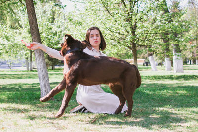 Young beautiful caucasian woman is playing with puppy of chocolate labrador retriever dog.