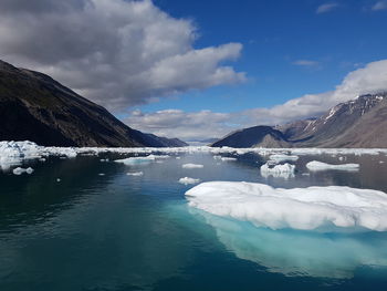 Scenic view of a few greenland icebergs in the middle of a glacier