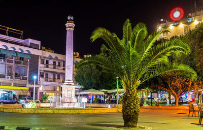 Palm trees and buildings at night