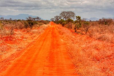 Road amidst trees on field against sky
