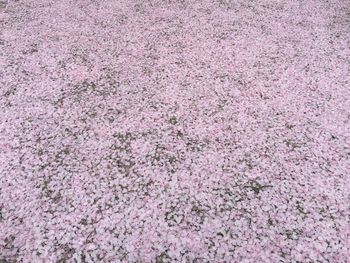 Full frame shot of abstract background