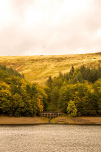 Scenic view of river amidst trees against sky