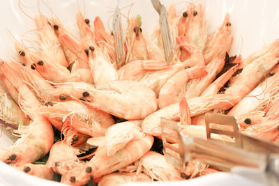 Shrimps in container
