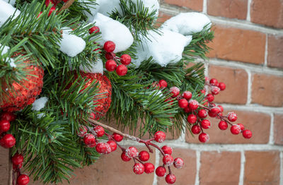 Close-up of christmas tree