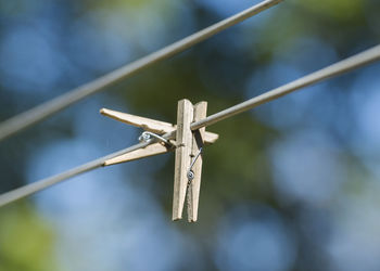 Close-up of clothespins on clothesline