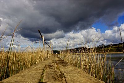 Scenic view of farm against sky