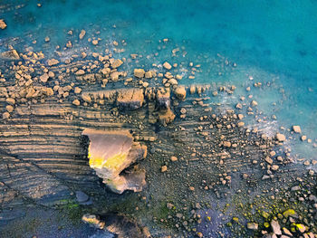 High angle view of wood on land