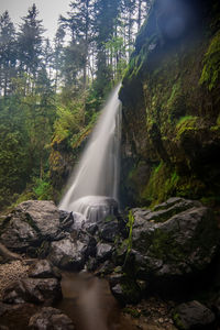 Scenic view of waterfall in forest