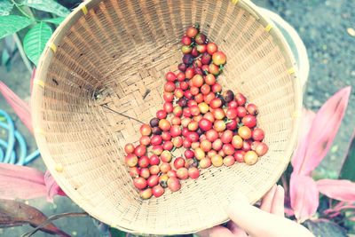 High angle view of berries in basket