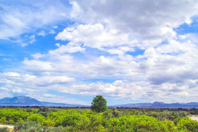 Scenic view of landscape against cloudy sky