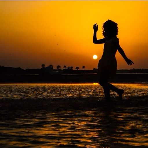 sunset, silhouette, orange color, water, bird, sky, sun, animal themes, animals in the wild, sea, reflection, nature, wildlife, outdoors, beauty in nature, sunlight, scenics, tranquility, dusk, no people