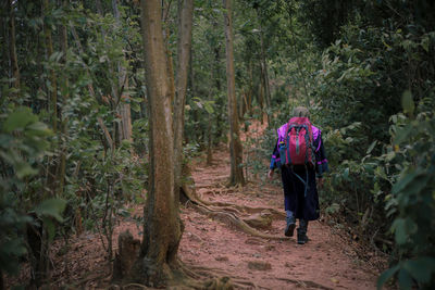 Rear view of woman walking in forest