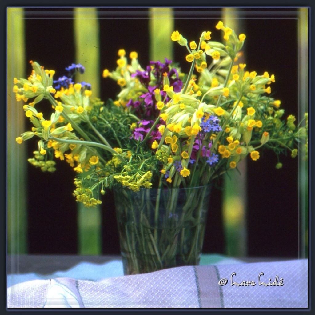 flower, transfer print, auto post production filter, freshness, fragility, purple, indoors, vase, growth, focus on foreground, plant, petal, close-up, potted plant, beauty in nature, flower head, nature, bunch of flowers, selective focus, stem