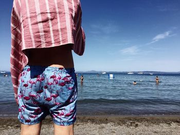 Rear view of man standing at beach against sky