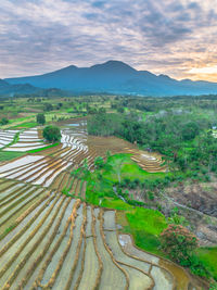 Scenic view of landscape against sky