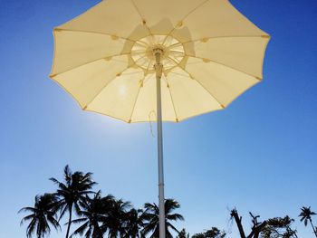 Low angle view of coconut palm tree against blue sky