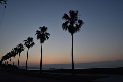 Silhouette palm trees on beach against clear sky at sunset