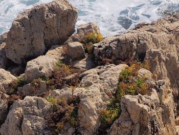 High angle view of rocks on shore