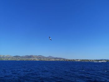 Bird flying over sea against blue sky