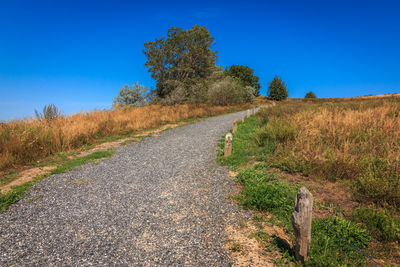 Road amidst trees against clear blue sky